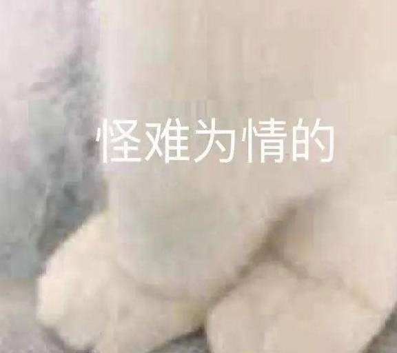 猫和诗人的罗曼蒂克史