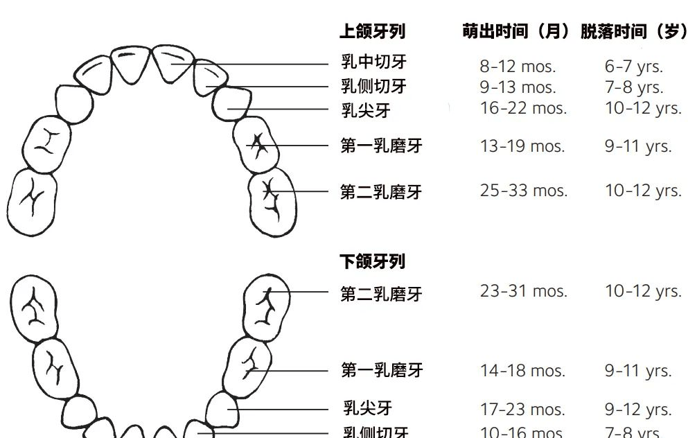 孩子出牙慢、出牙晚，大大都是一般的，除非有那些情况