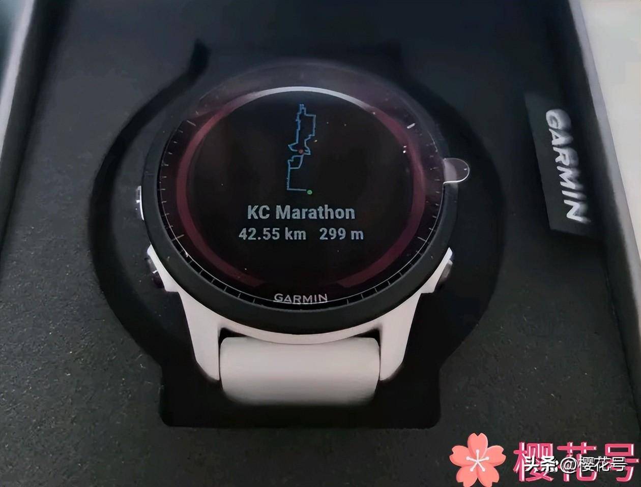 GarminForerunֱΣGarminFR955ʵ ...