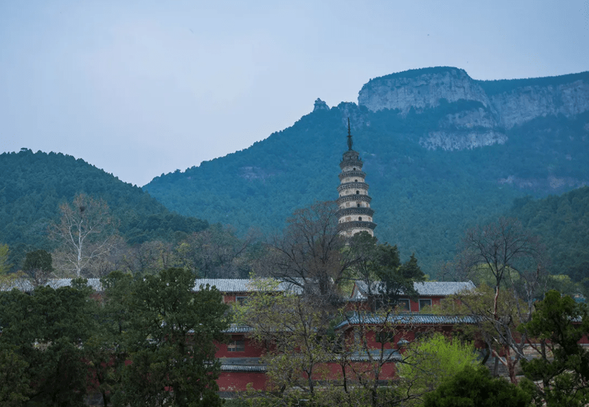 千年灵岩寺，好客长清茶