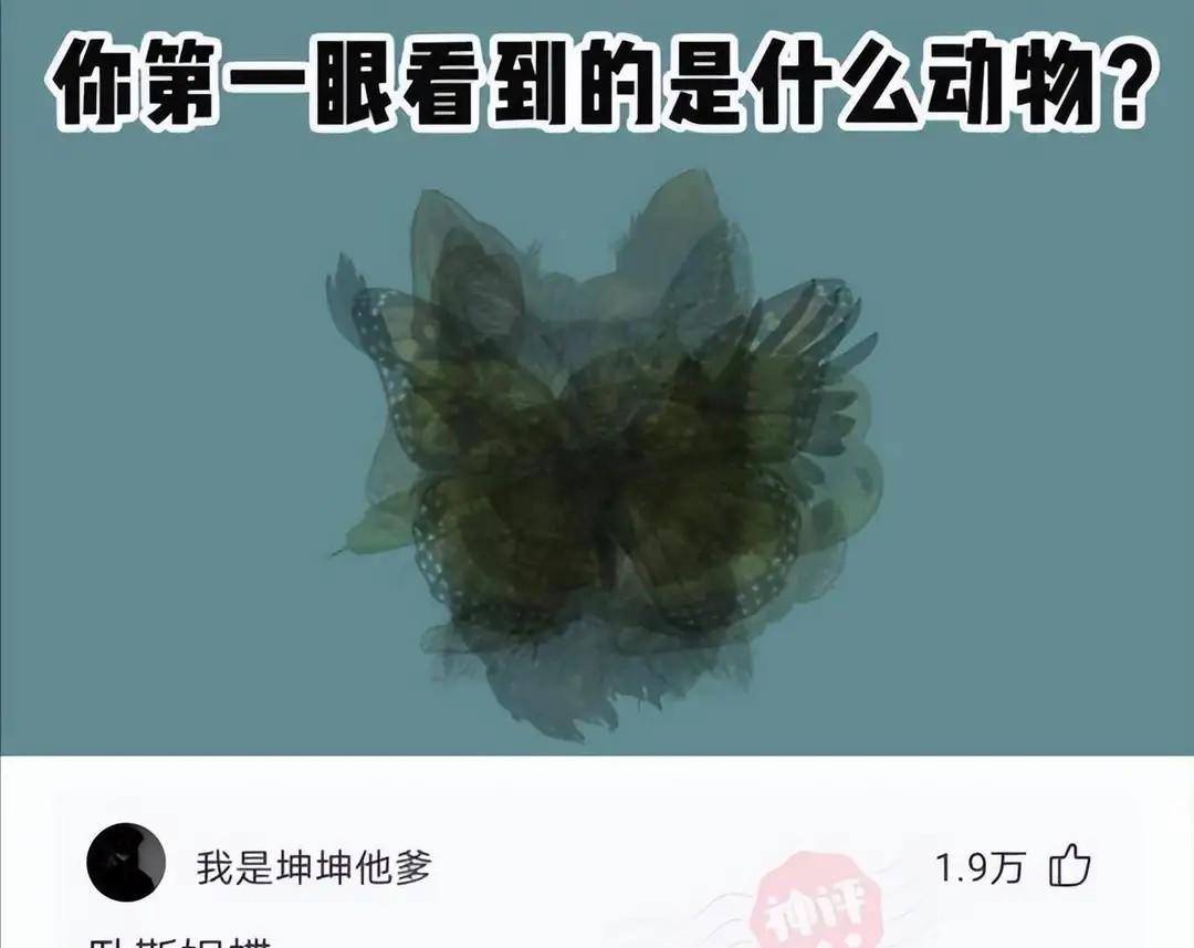 我给妻子发短信，简单握手发给老板，他回复：有一天