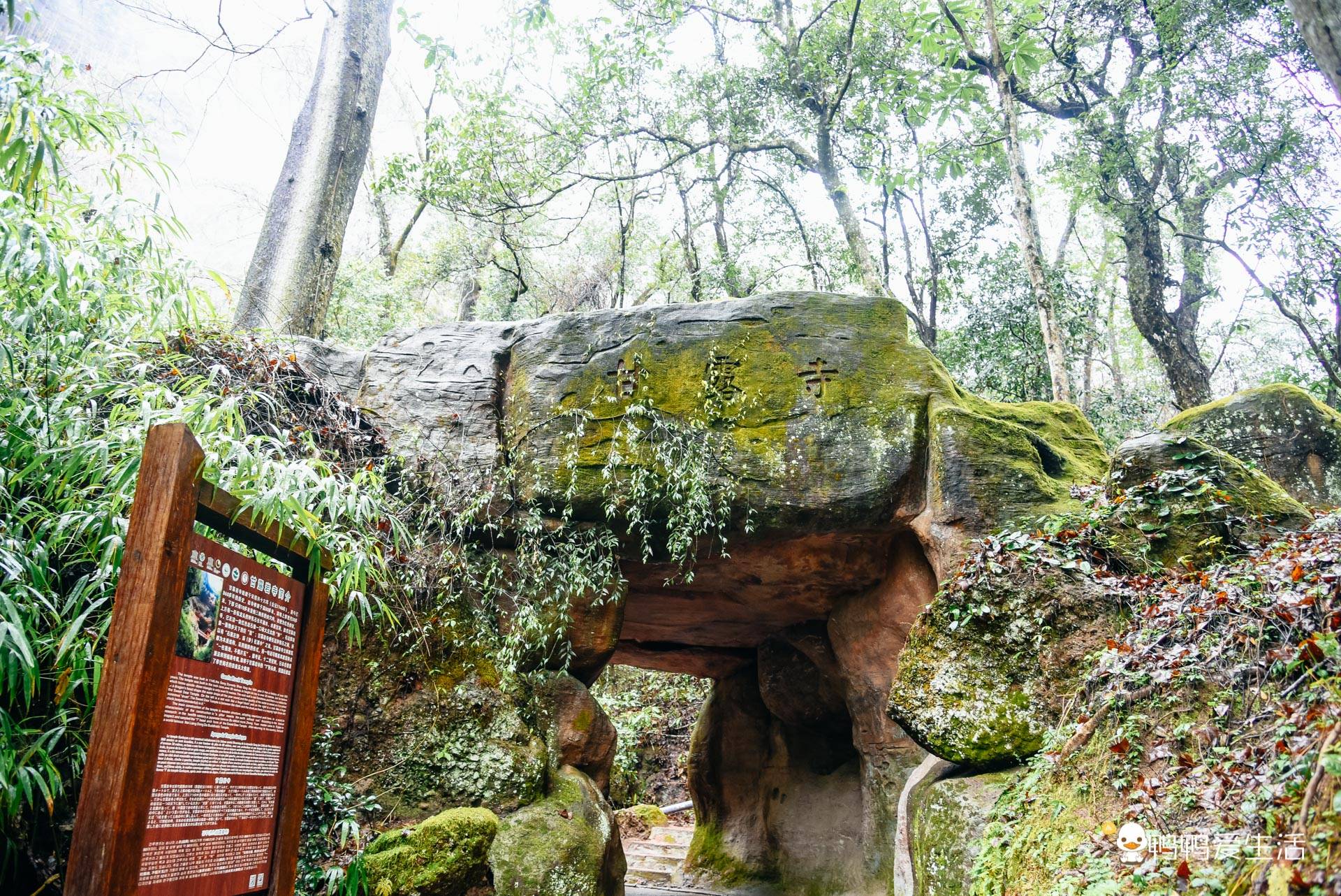 福建泰宁甘露寺：仅用一根柱子支持，佛祖前供不雅音千年香火不停！