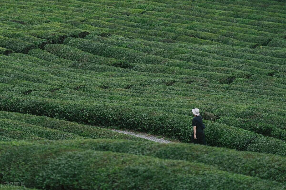 ������һ��������У���������ǧ����򣬱Ⱦ����徻������ ...