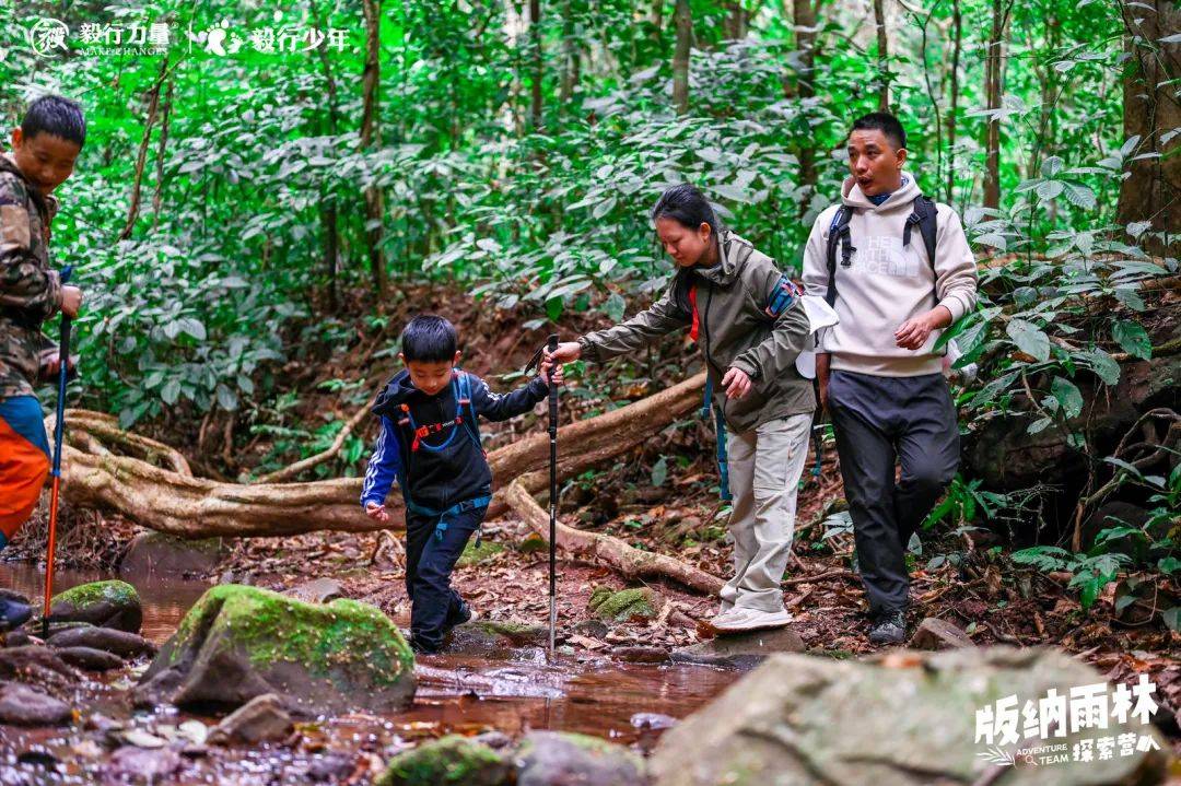 陪你去雨林 | 一群少年摸索家6天5晚西双版纳雨林之旅