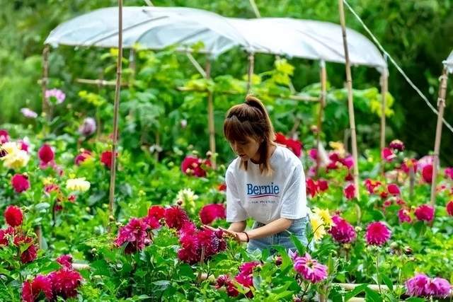 四川健博会探秘之：中医药安康旅游篇