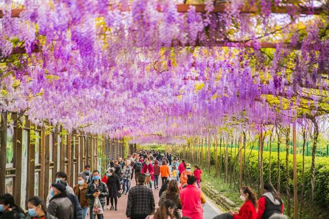 四川健博会探秘之：中医药安康旅游篇