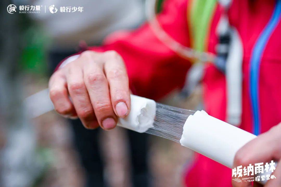 陪你去雨林 | 一群少年摸索家6天5晚西双版纳雨林之旅