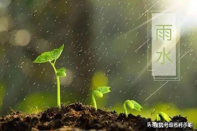 正月十九雨水晨安问候祝愿图片精选 正月十九雨水问候祝愿语简短句子