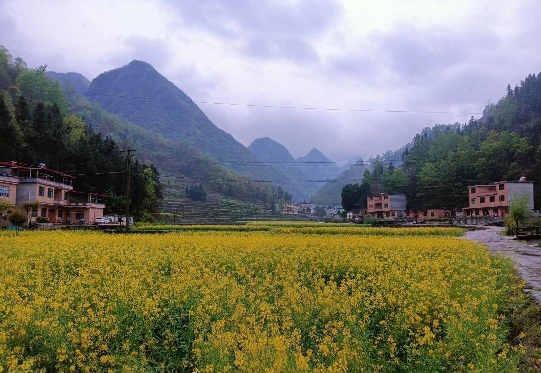 乘坐开往秦岭云烟深处的火车，抵达十里花海村子，仙气飘飘太美了