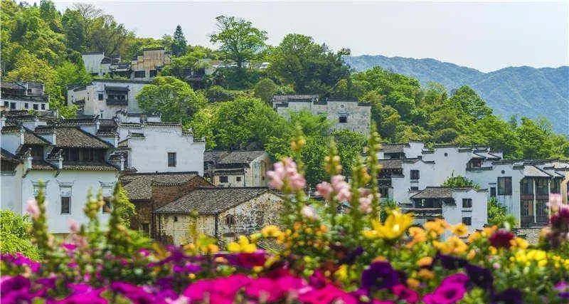 感触感染婺源山川人文，游览篁岭天街、赏花溪水街美景