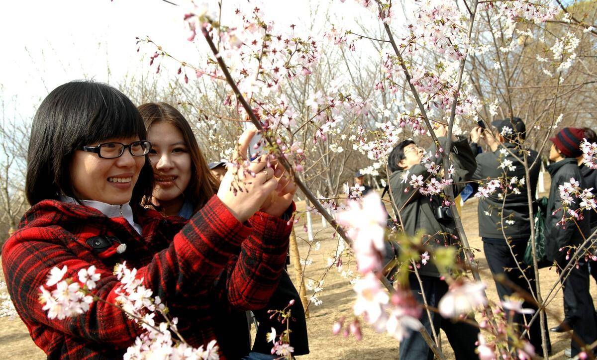 威客电竞花最少的钱逛更多的景区北京公园年票包括哪些公园(图10)