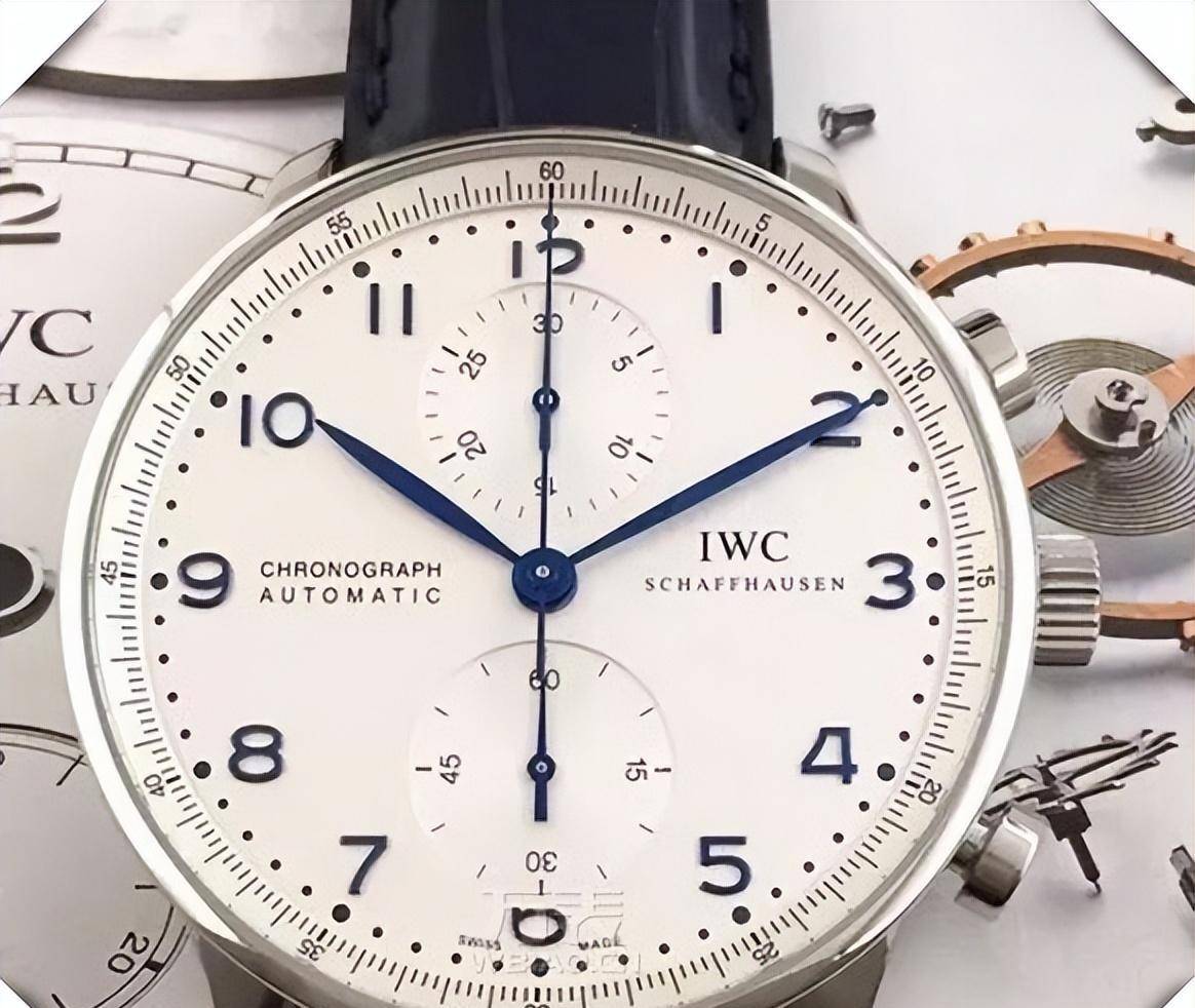 2022-2025��ר���±����Ͷ����г���W���ҵ��������ѡ��