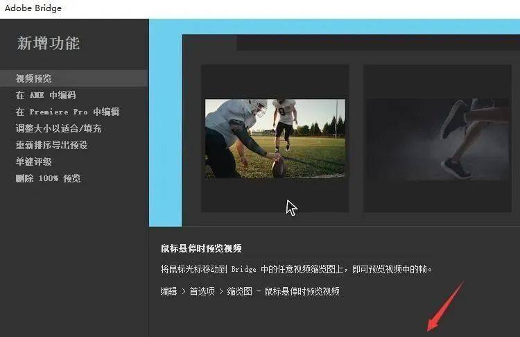 数码资产办理软件Br 2023：Adobe Bridge软件最新中文版下载安拆激活教程