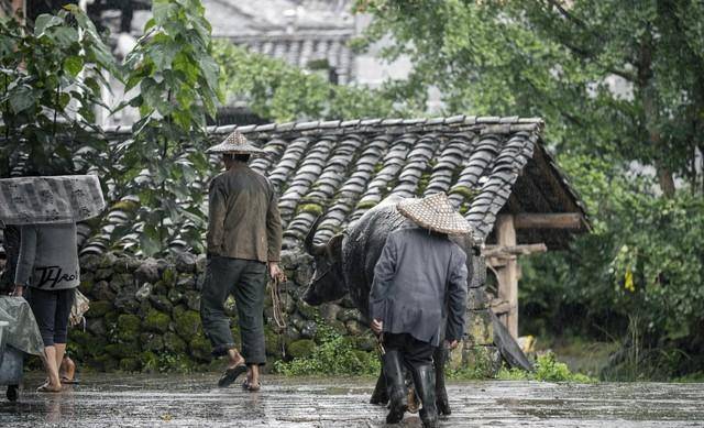 气候预报：明天3号大范畴特大暴雨大雨中心确认，清明节冷到哭？