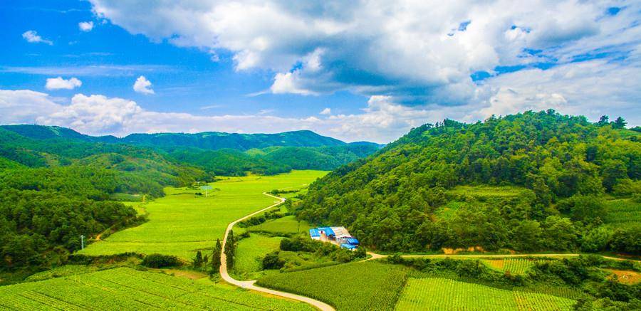 财神取名:金九银十,三月聚财,三生肖财运无限 财神取名:金九银十,三月聚财,三生肖财运无限