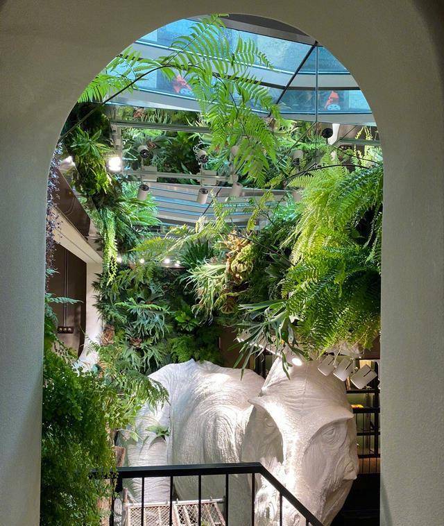 ���١���ɱ���������ˣ�����������������ͨ�˻������