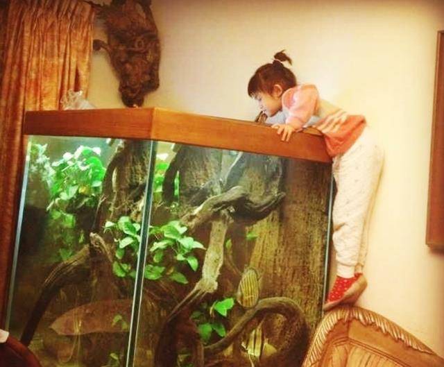 ���١���ɱ���������ˣ�����������������ͨ�˻������