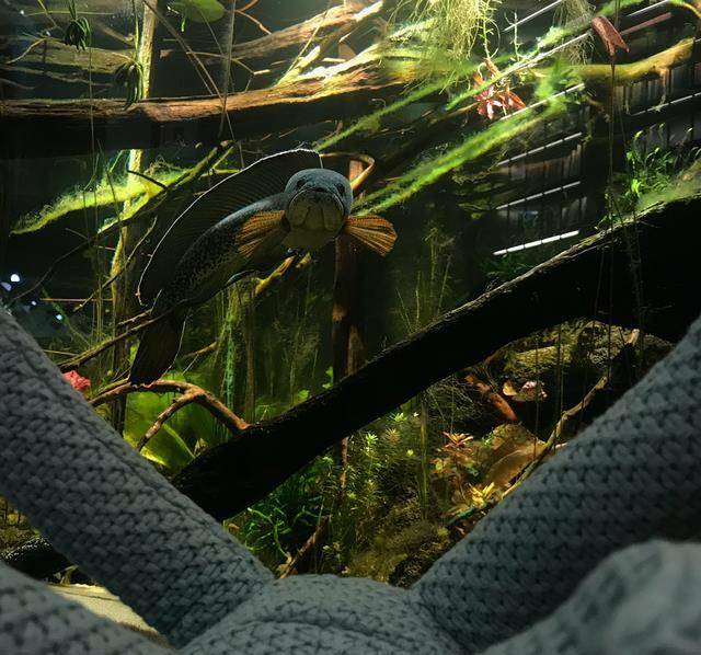 ���١���ɱ���������ˣ�����������������ͨ�˻������