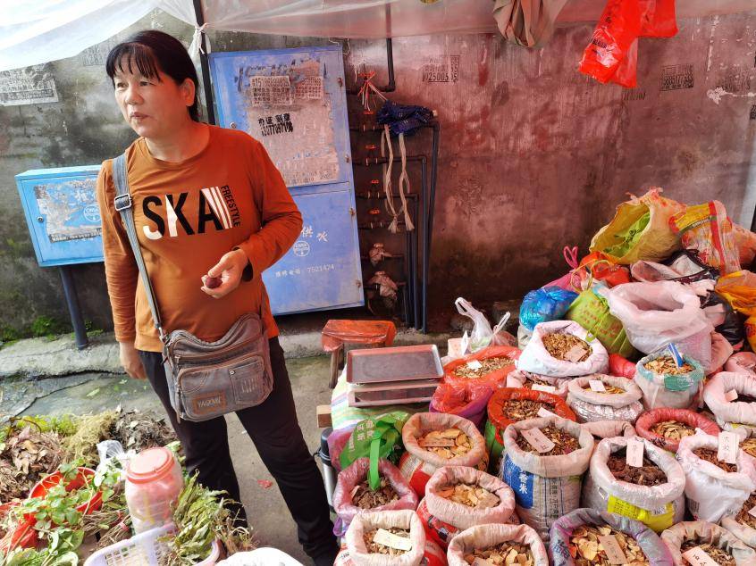 虚心竹有垂头叶 傲骨梅无仰面花 ——寻访黔东南民间用药经历 凯里 唐欿