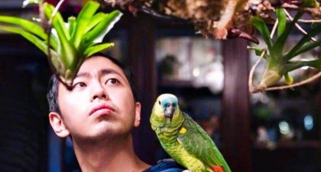 ���١���ɱ���������ˣ�����������������ͨ�˻������