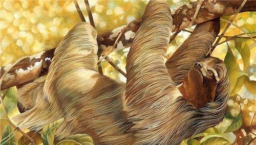 ��������һ��13000��ǰ���������������أ�ʷѧ�ң������� ...