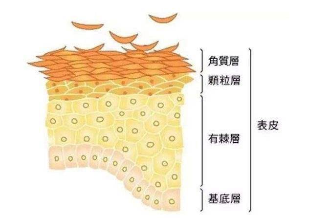 白透亮有多灾？那三个小技巧让你白到发光