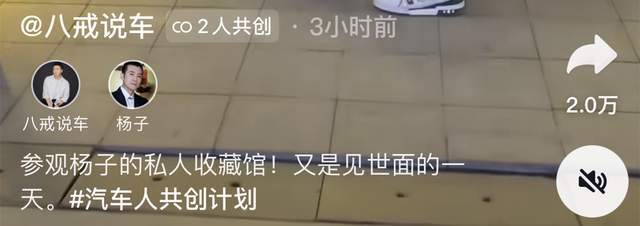 杨子邀请网红参不雅保藏馆！紫砂壶价值超一个小目的，占地千余平