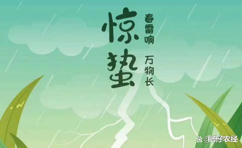 明日惊蛰!老话“雷响三不做,腰包不会空”啥意思?别离指的是啥 明日惊蛰!老话“雷响三不做,腰包不会空”啥意思?别离指的是啥