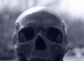 �����������ʬ��Ϊ�λ���ʬ��Ұ������������Ԥı�������� ...