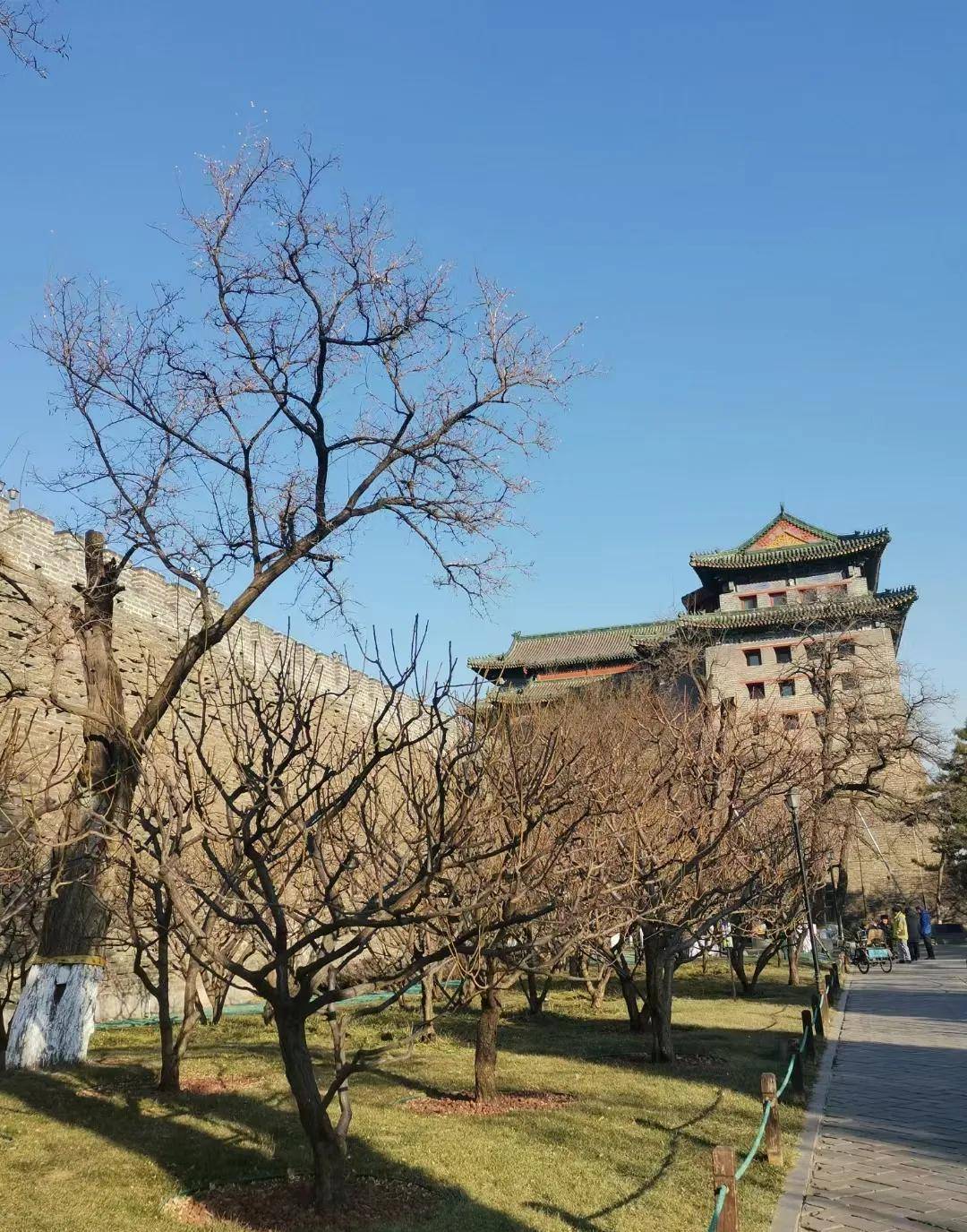 到北京旅游，应该去哪些处所？