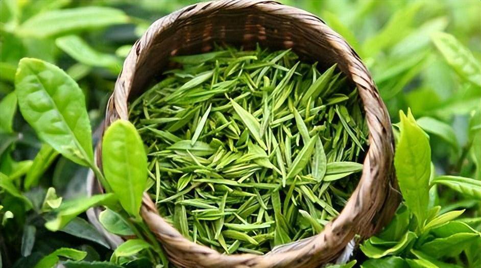 �ձ��ο�Ҳ���ҹ����������������������ɶ�����ѣ��۹ⲻ ...