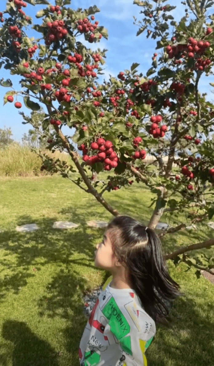 章子怡夫妇穿情侣拆出游，汪峰烈日下背着醒醒，十足女儿奴