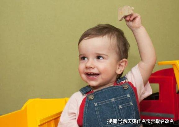 2023兔年男宝宝取名起名字大全：沉稳霸气的男孩名字