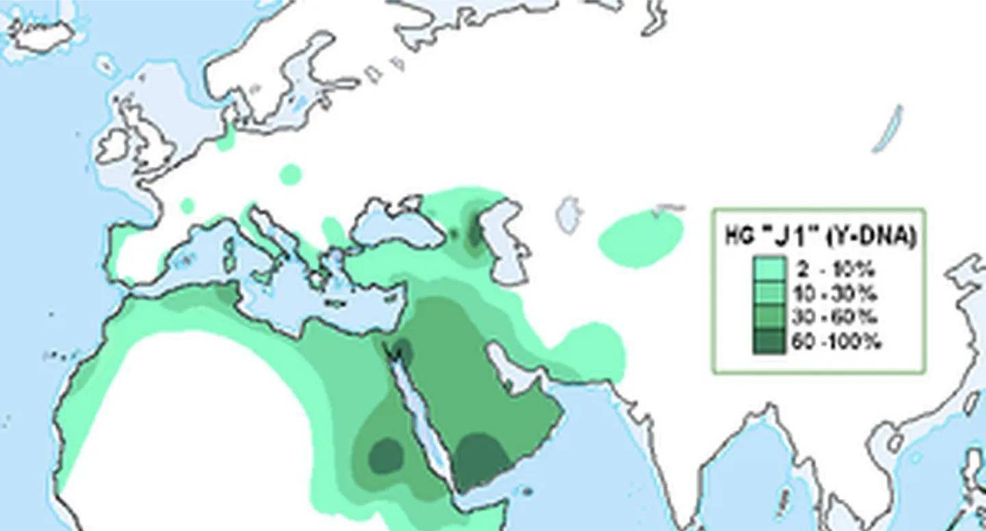 ���ǵ۹������������������