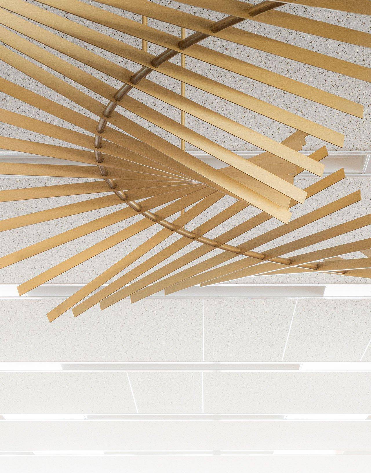 �����Ƕ����ܲ�