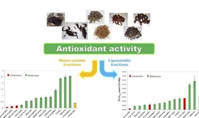 最新研究：蚱蜢和蚕的抗氧化才能与新颖橙汁类似，是橄榄油的两倍