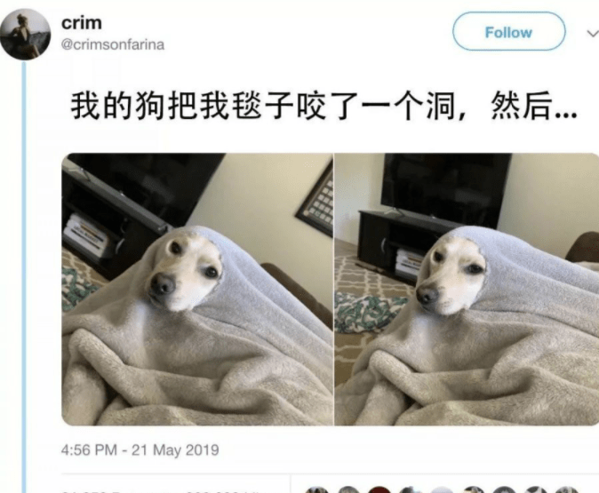 搞笑gif: 我竟然被的她的脸蛋吸引了, 实的已经到了无法自拔的地步了