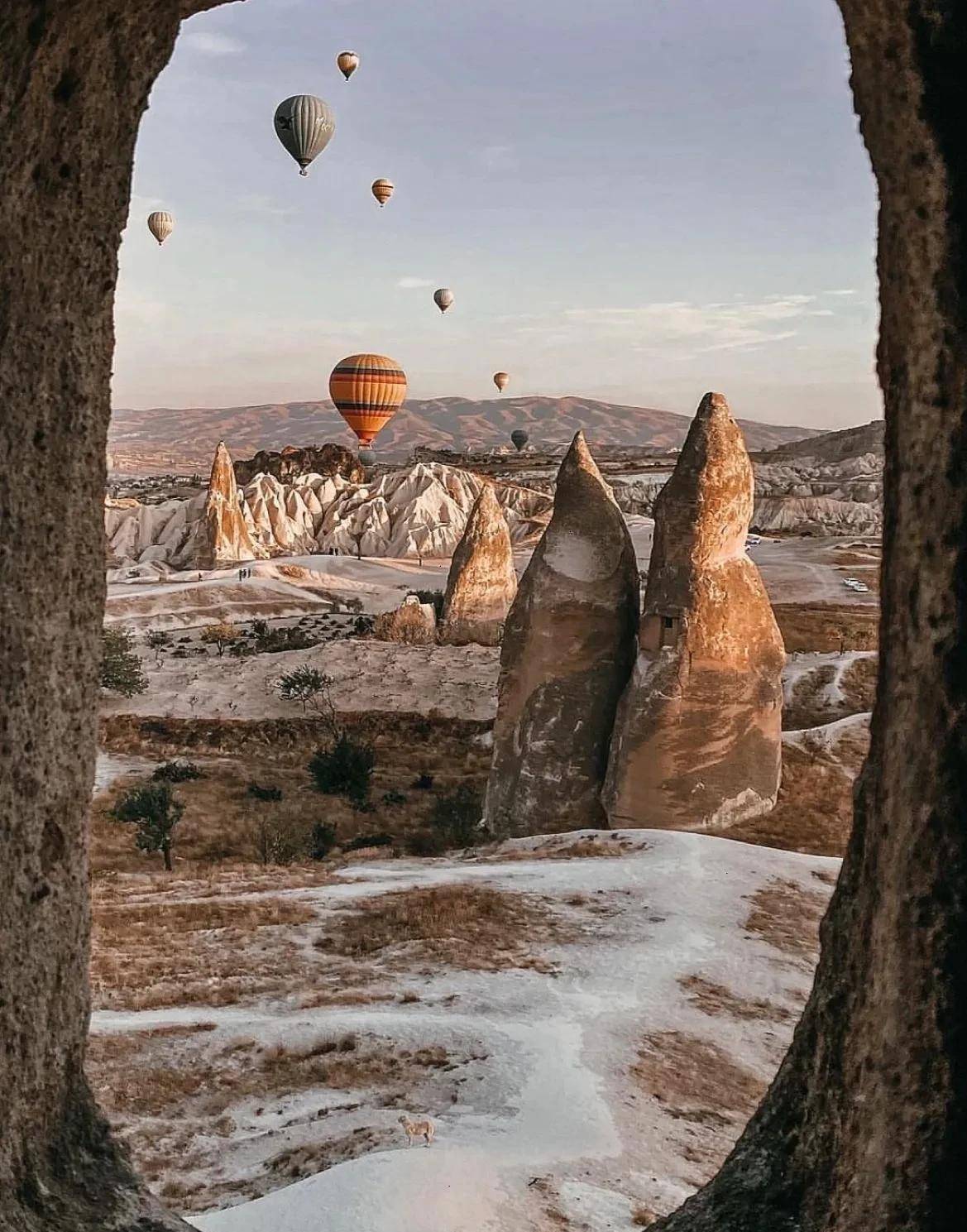 ����������������� ����ʮ������֮һ �����λ����ð�� ...