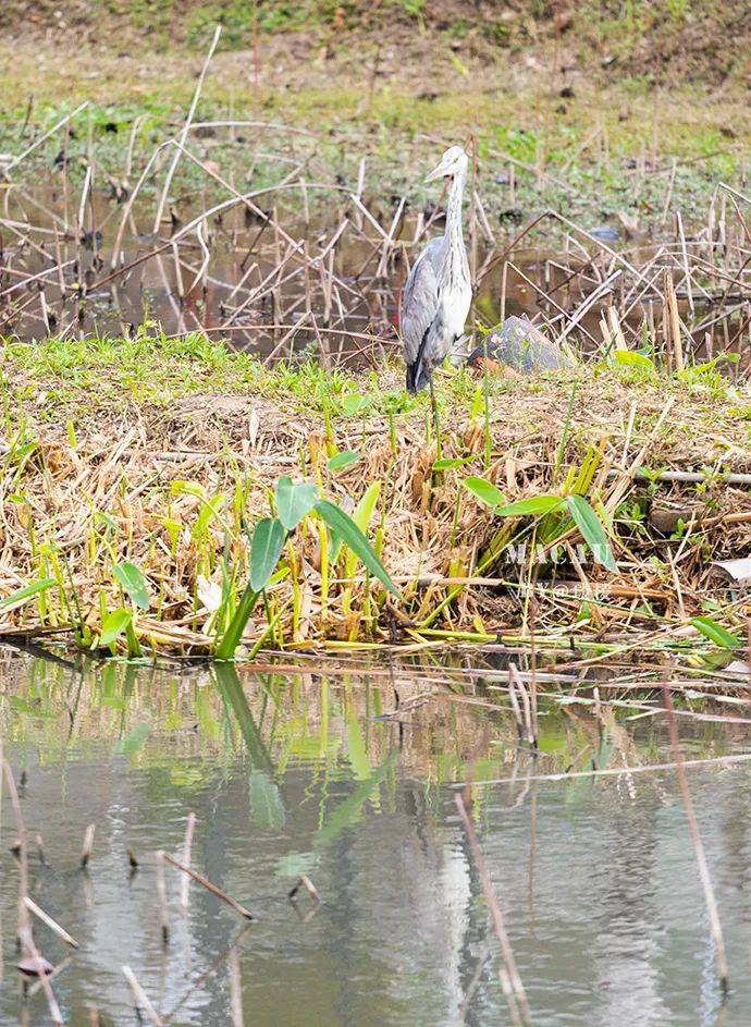 �������������۵����ս���֮һ�����������ξ���������ɫ ...