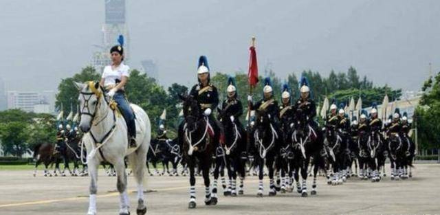 ̩��˼�����������ԣ�����������ﲻ�ͣ���ͦ�Լ����׽� ...