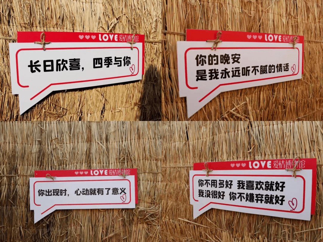 超震撼！济宁迎来花海旅游季·巨型稻草人王国，4月1日起迎客！送门票啦！