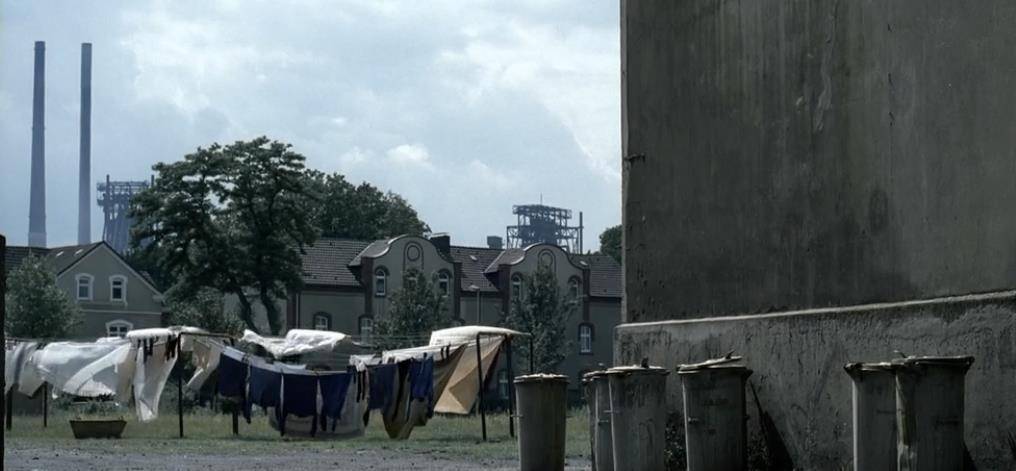 �����ȹ���-1954�겮�����漣