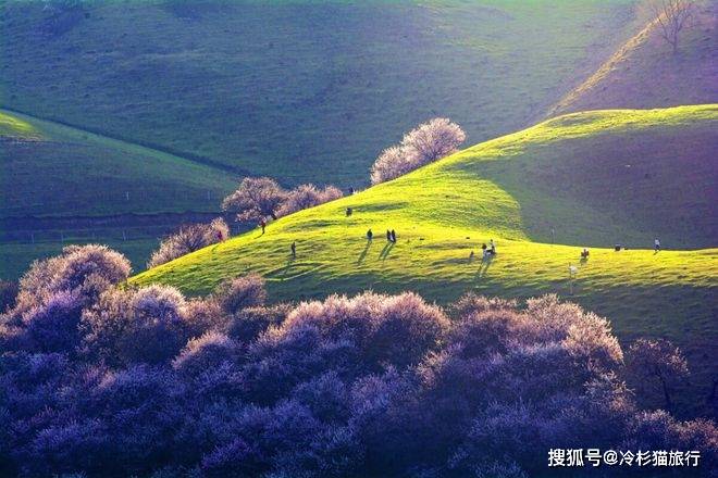 暖春季节最保举的7个宝藏景点，保藏起来，3-4月动身都合适！