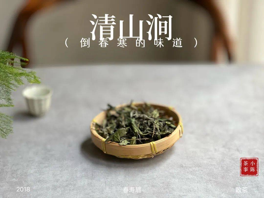 为什么有的老白茶枣香浓郁，而有的闻不到？春茶能转化出枣香吗?？