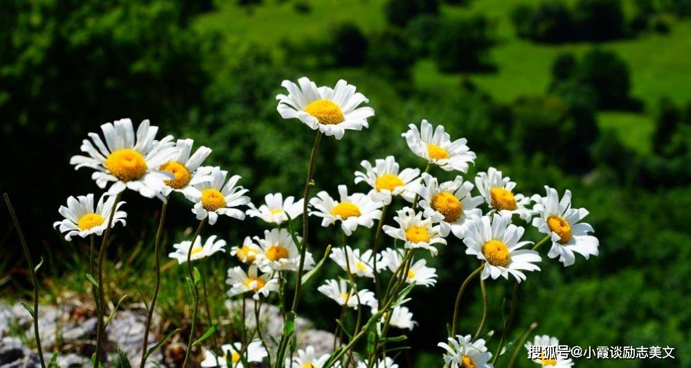原创4月，春风吹过，桃花盛开，3大生肖回到老地方，邂逅旧情人