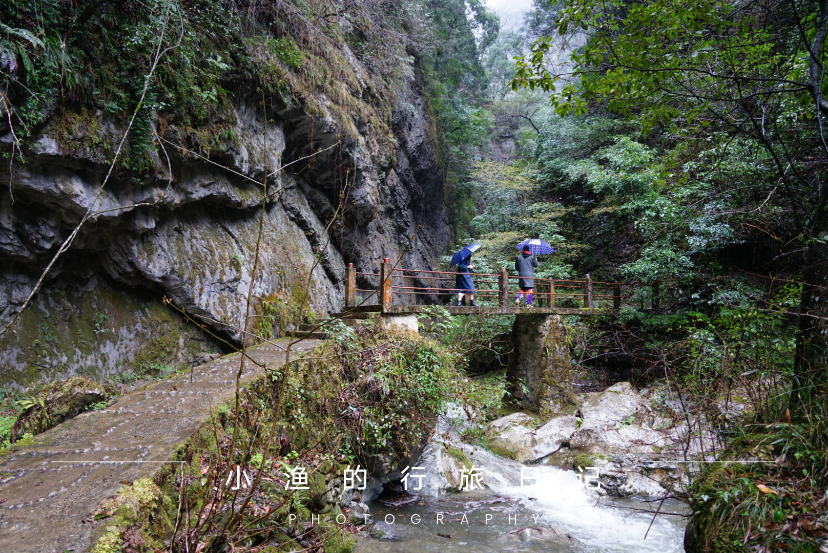 5天4夜,奔赴川陕接壤的巴山秘境,寻找中国最美油菜花海!附攻略 5天4夜,奔赴川陕接壤的巴山秘境,寻找中国最美油菜花海!附攻略