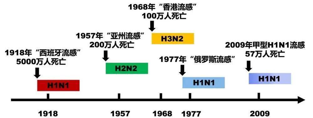 甲流来袭，5分钟给你说清晰它的宿世此生