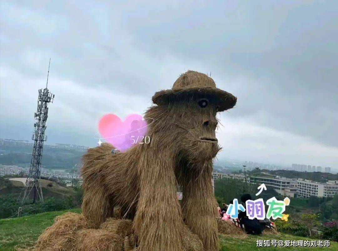 重庆首个～粉红兔岛来啦！超百种萌兔空降北碚天然世界.精灵王国