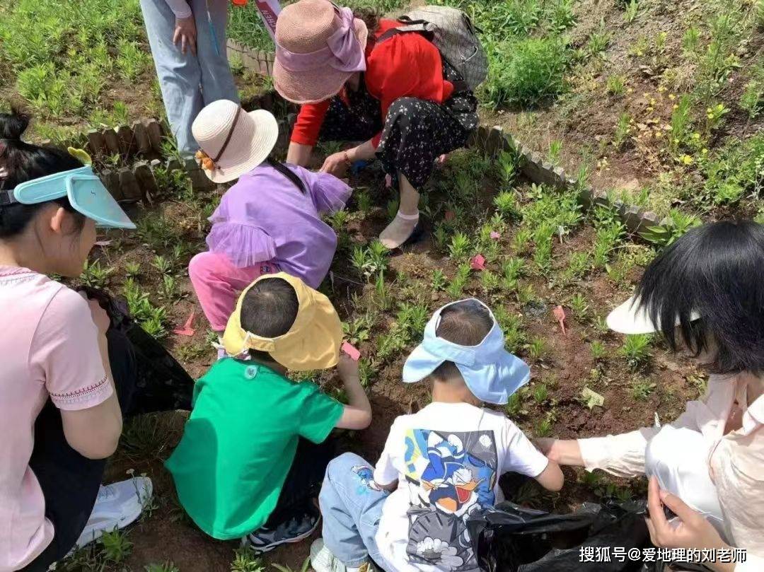 重庆首个～粉红兔岛来啦！超百种萌兔空降北碚天然世界.精灵王国