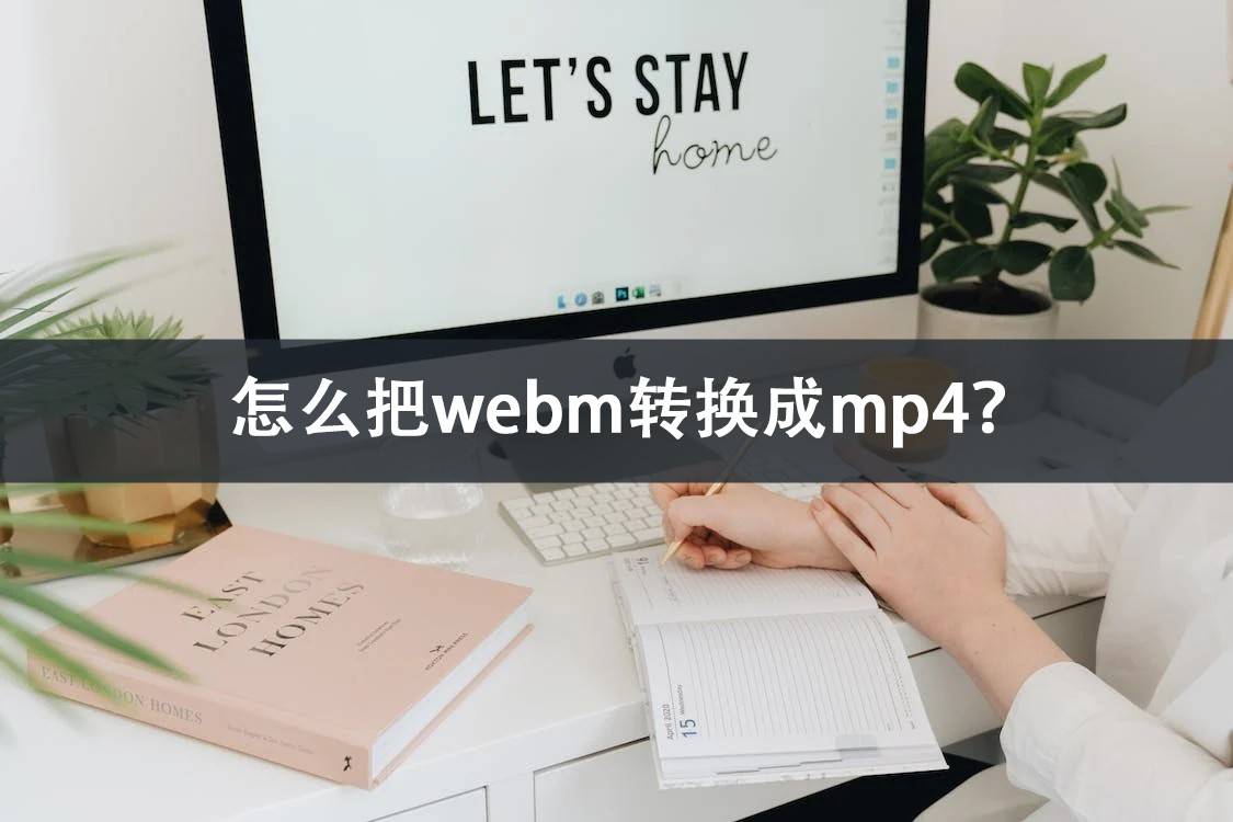 怎么把webm转换成mp4？新手入门的东西实好用